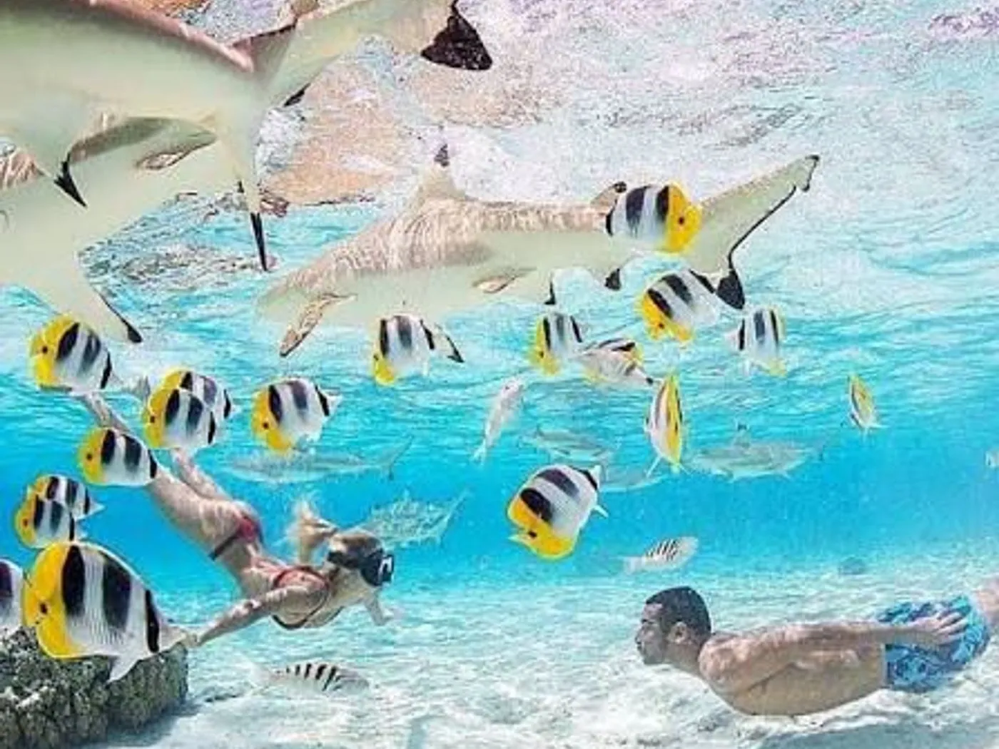 Tour Snorkeling